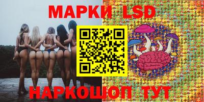 spice Обь