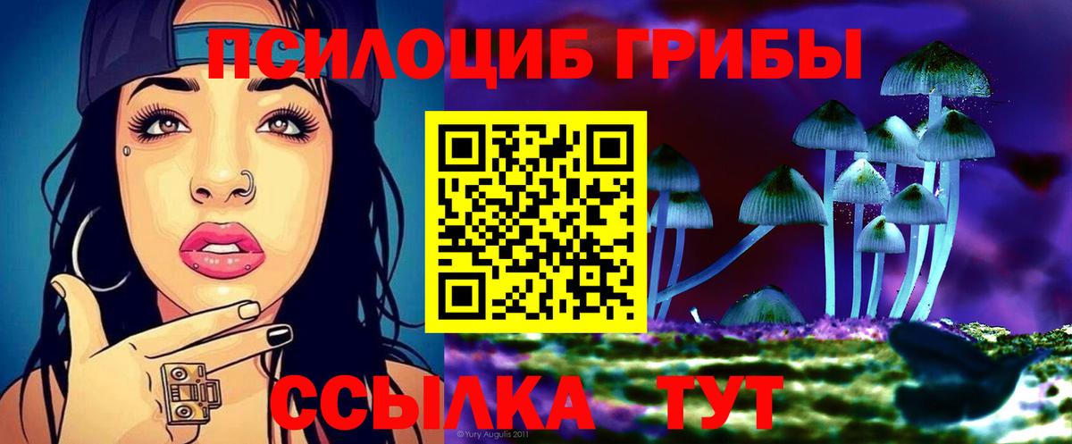Пугачёв  Галлюциногенные грибы прущие грибы  Галлюциногенные грибы Magic Shrooms  Вход с VPN 