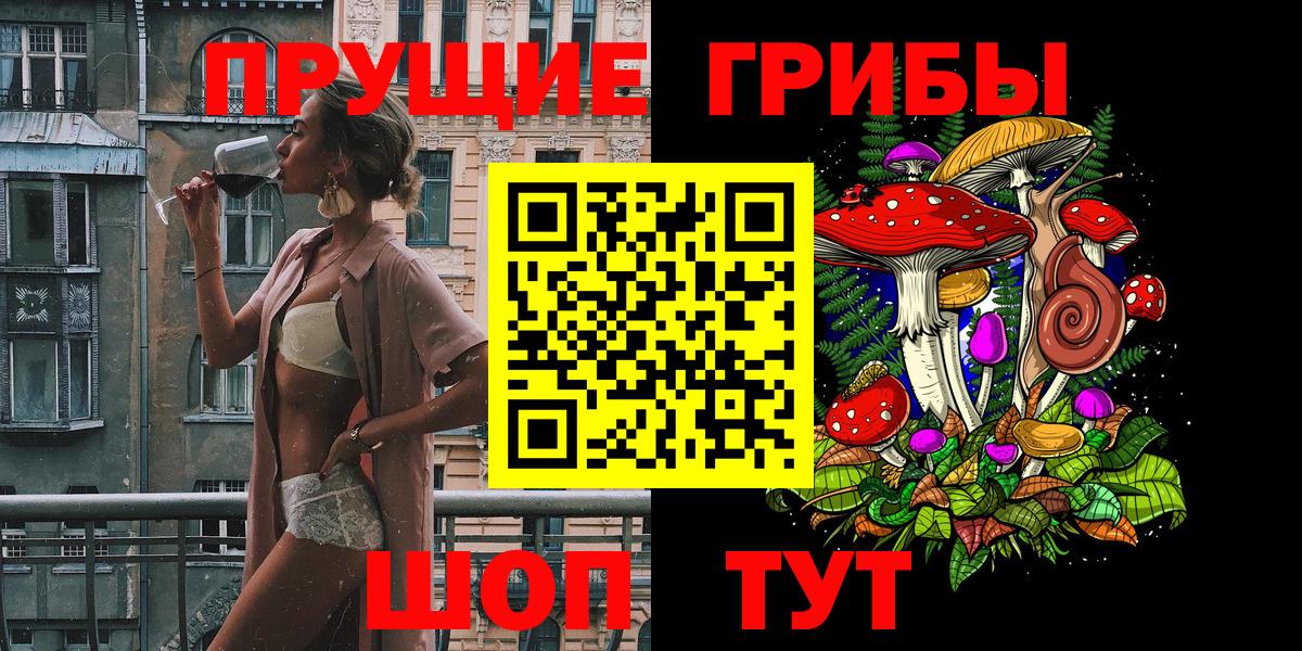Галлюциногенные грибы Psilocybe Пугачёв